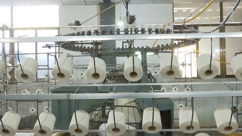 1000噸 這就是肅寧針紡企業日均用棉紗的量