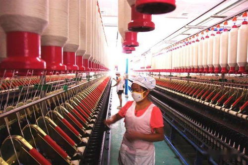 贊 我縣榮獲全省鄉村振興戰略實績考核全市唯一優秀單位