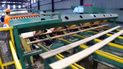 木材加工場,從生產(chǎn)線出來的最終產(chǎn)品,我還是第一次見到