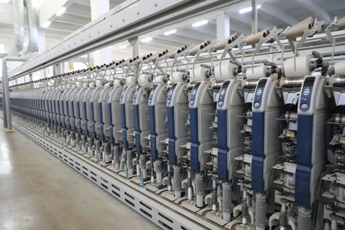 副省長羅小云到我縣調(diào)研紡織服裝產(chǎn)業(yè)鏈發(fā)展情況