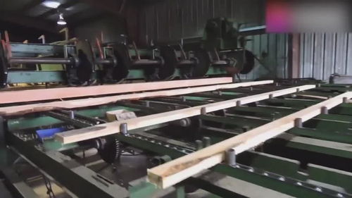 自動化木材加工廠,整棵原木進(jìn)去出來就是木板