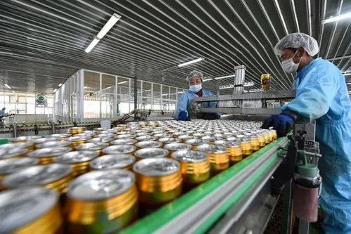 今天的頭條留給西藏 高清組圖看70年巨變