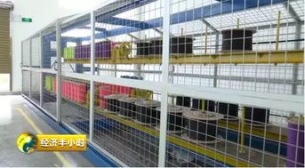 厲害了 望里鎮(zhèn)登上央視 經(jīng)濟半小時 ,看蒼南傳統(tǒng)棉紡產(chǎn)業(yè)如何 老樹開新花