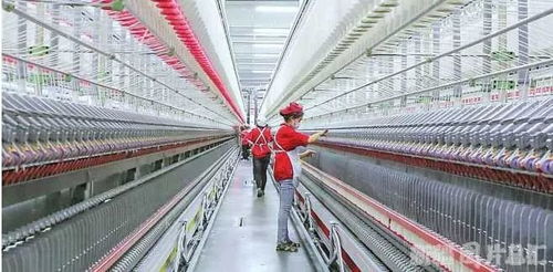 脫貧有底氣,增收有希望 新疆扎實推進就業(yè)扶貧