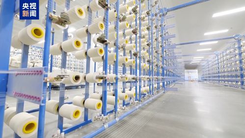 田間好 豐 光 新疆喀什700多萬畝棉花進入采收期