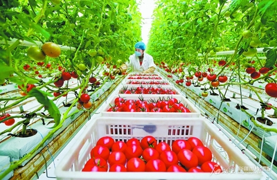 民營經(jīng)濟 千帆競發(fā)