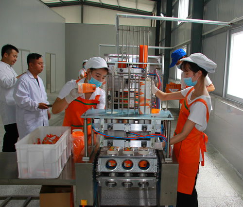 鎮(zhèn)安萬(wàn)噸農(nóng)產(chǎn)品深加工投產(chǎn) 帶動(dòng)萬(wàn)名群眾脫貧致富